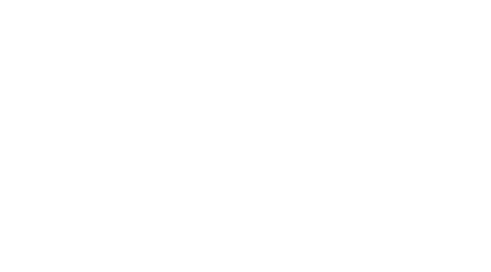 SoftwarePicture